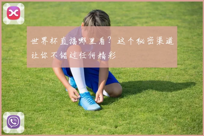 世界杯直播哪里看？这个秘密渠道让你不错过任何精彩