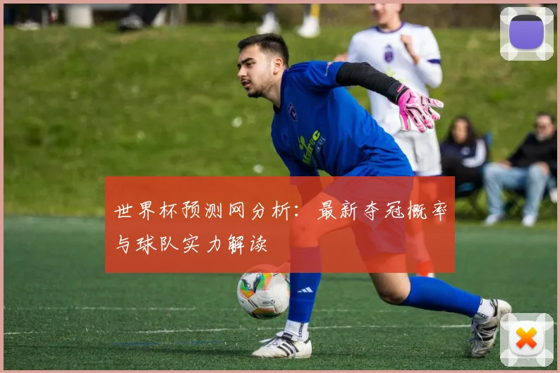 世界杯预测网分析：最新夺冠概率与球队实力解读