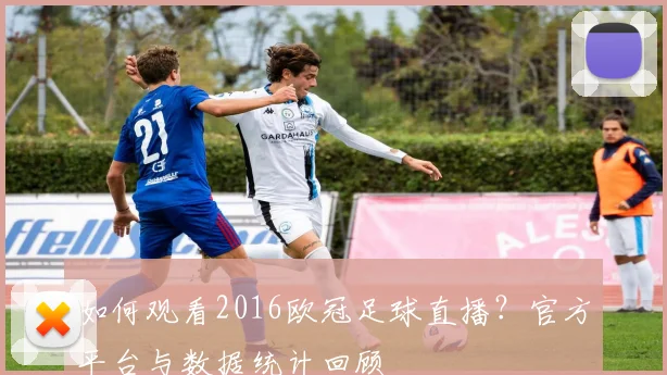 如何观看2016欧冠足球直播？官方平台与数据统计回顾