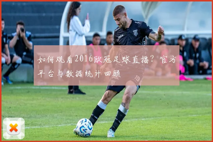 如何观看2016欧冠足球直播？官方平台与数据统计回顾
