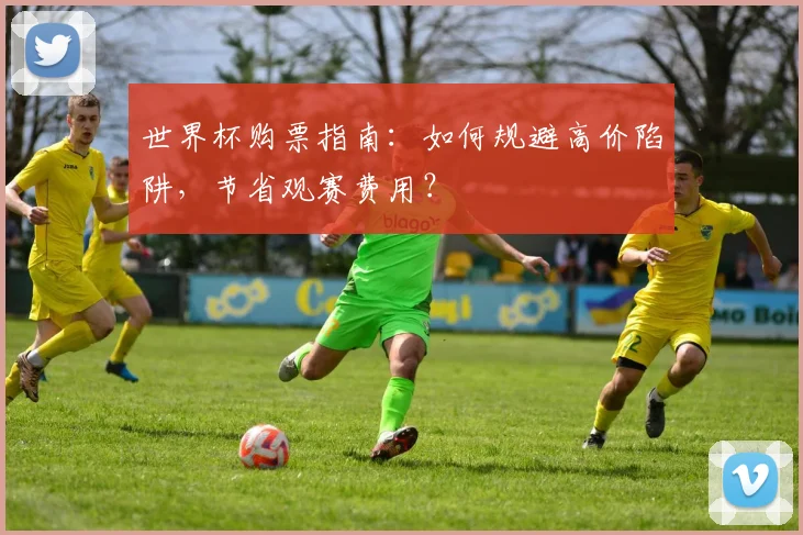 世界杯购票指南：如何规避高价陷阱，节省观赛费用？