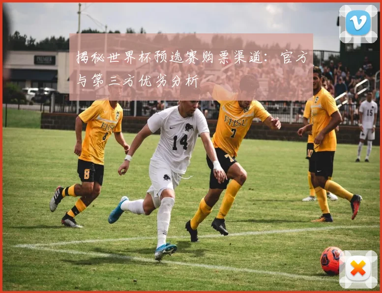 揭秘世界杯预选赛购票渠道：官方与第三方优劣分析