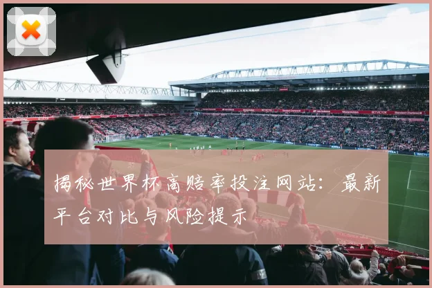 揭秘世界杯高赔率投注网站：最新平台对比与风险提示