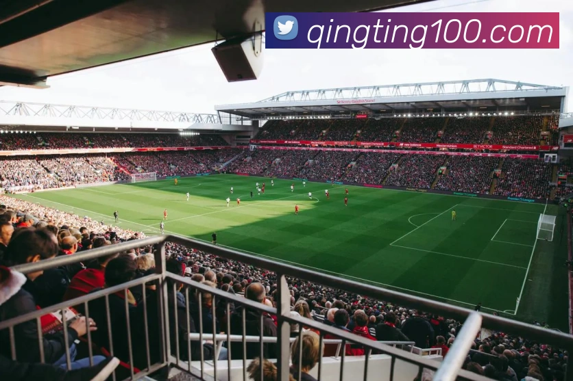 东升国际手机版下载平台生态图