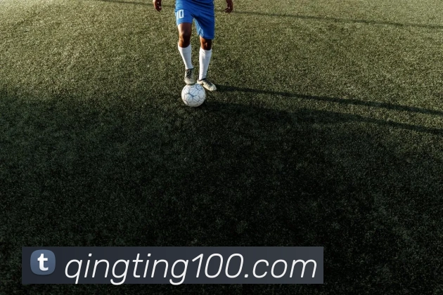 东升国际手机版下载全站App 东升国际手机版下载全站App